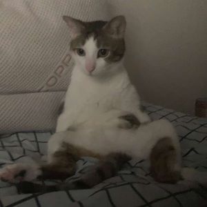 Meet your Posher, Trey